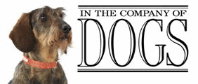  In The Company Of Dogs Promo Codes